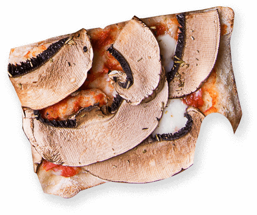 slice5